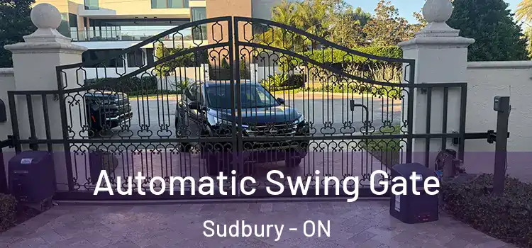  Automatic Swing Gate Sudbury - ON