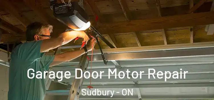  Garage Door Motor Repair Sudbury - ON