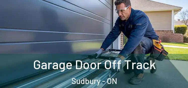 Garage Door Off Track Sudbury - ON