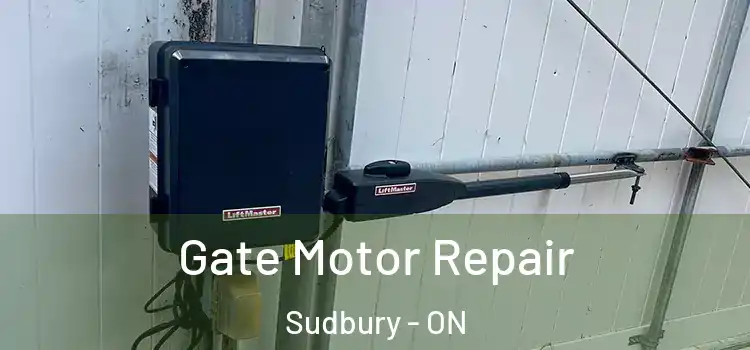  Gate Motor Repair Sudbury - ON