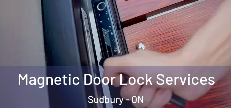 Magnetic Door Lock Services Sudbury - ON